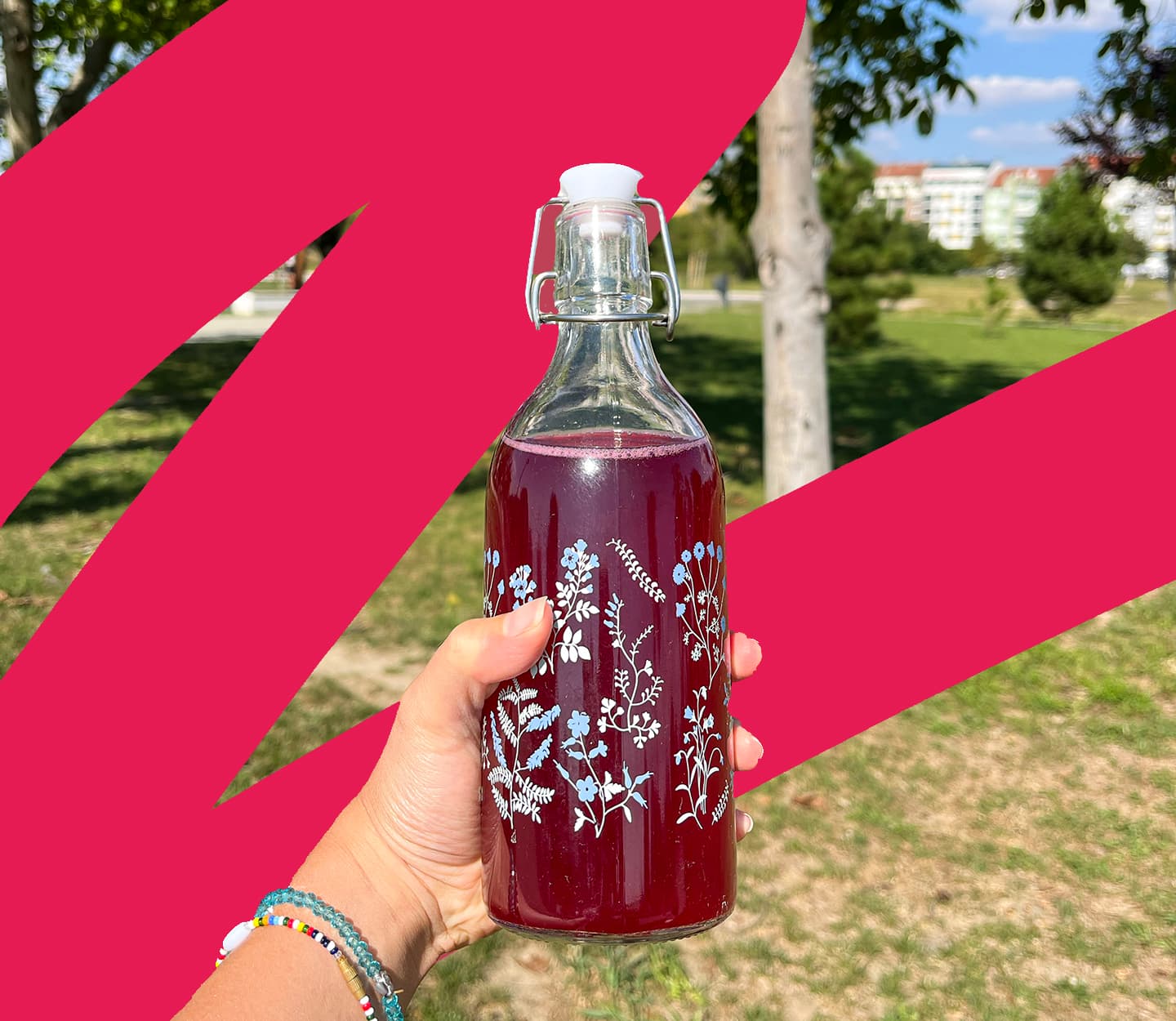 kombuha prodaja u srbiji