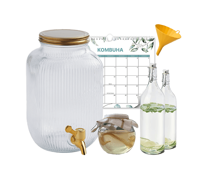kombuha setovi za pripremu